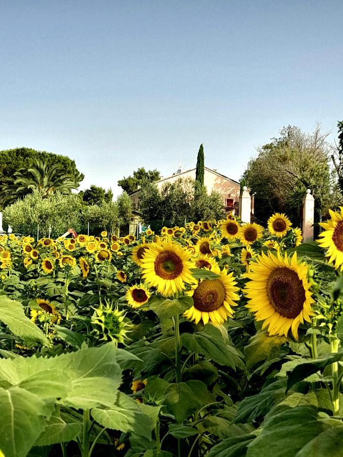 مبيت وإفطار مونتيهمارثيانو Fontebella المظهر الخارجي الصورة