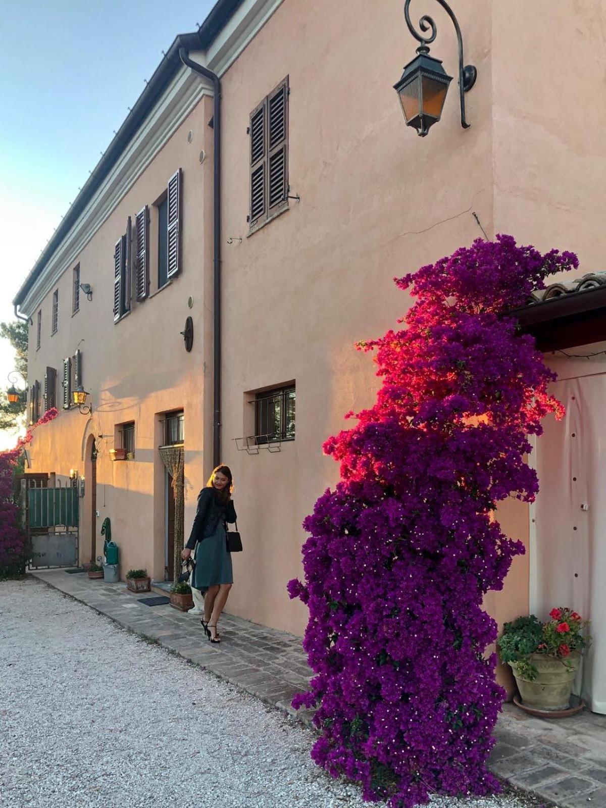 مبيت وإفطار مونتيهمارثيانو Fontebella المظهر الخارجي الصورة